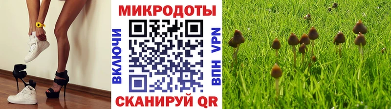 KRAKEN   Мегион  Псилоцибиновые грибы Psilocybe  купить  